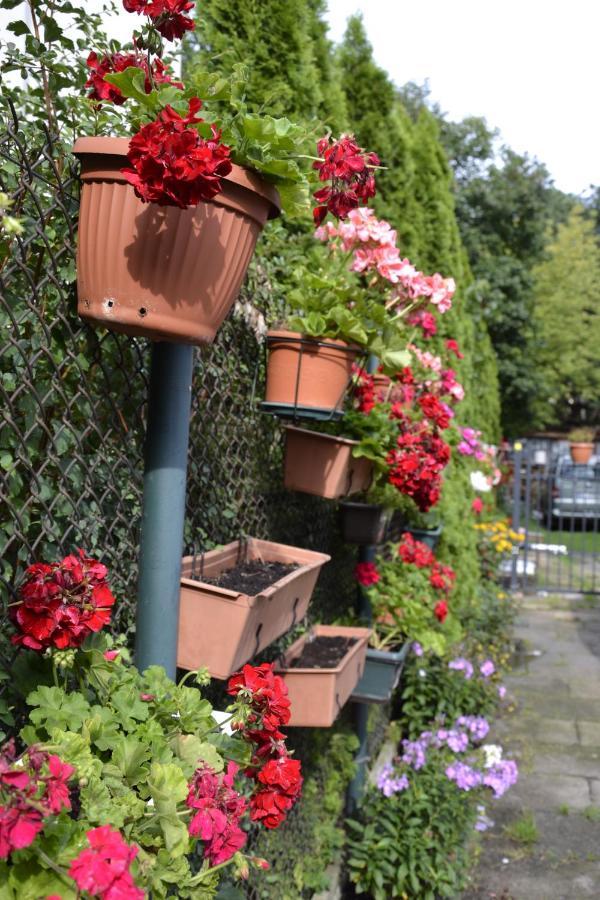 Warszawa Stare Bielany B&B 외부 사진